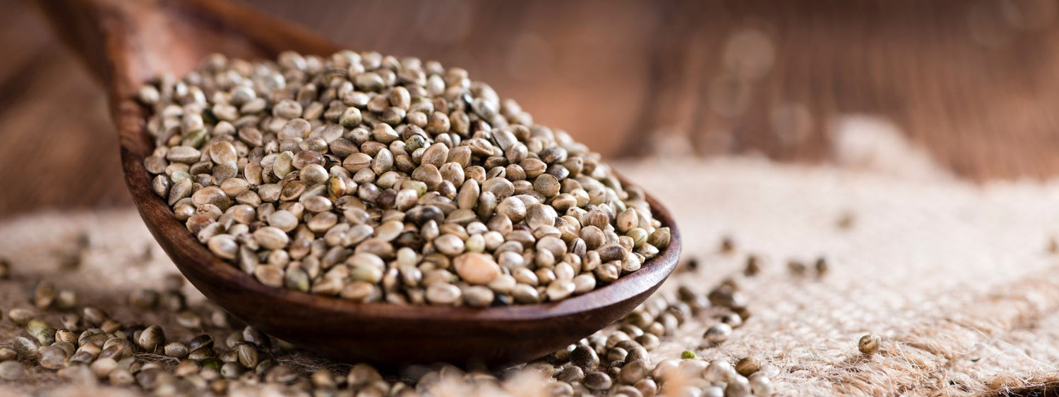 Sjemenke industrijske konoplje