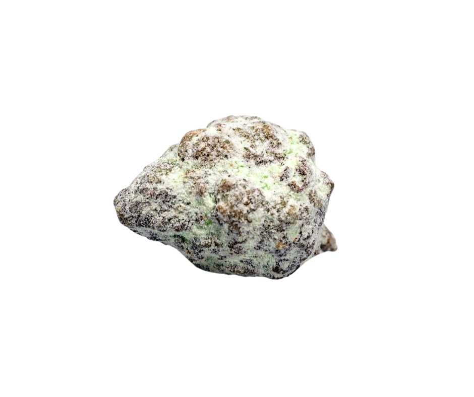 Balkan Moon - 2g