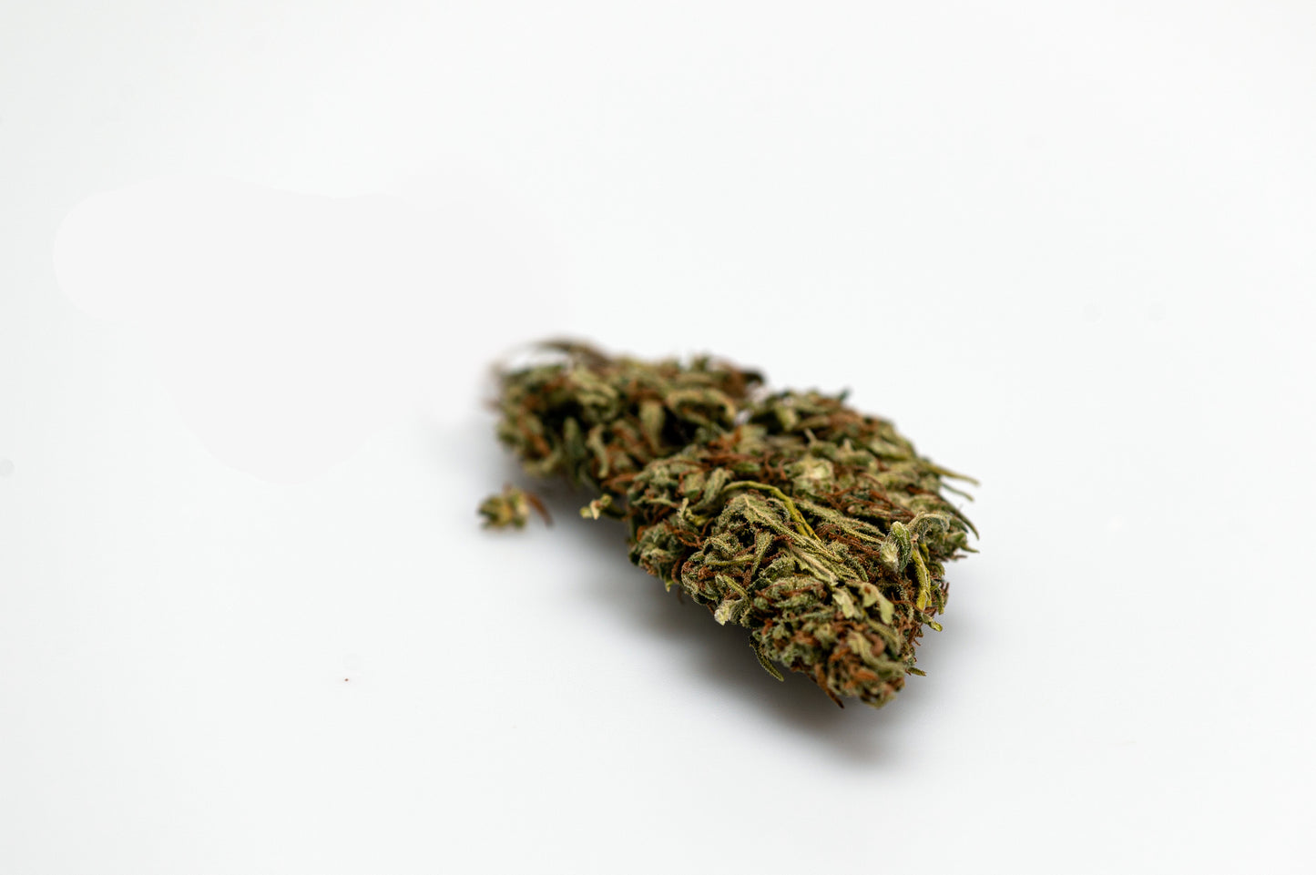 Sexy Edi - 2g/6g