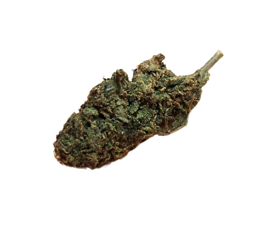 Wish- egzotična nota 5g/10g