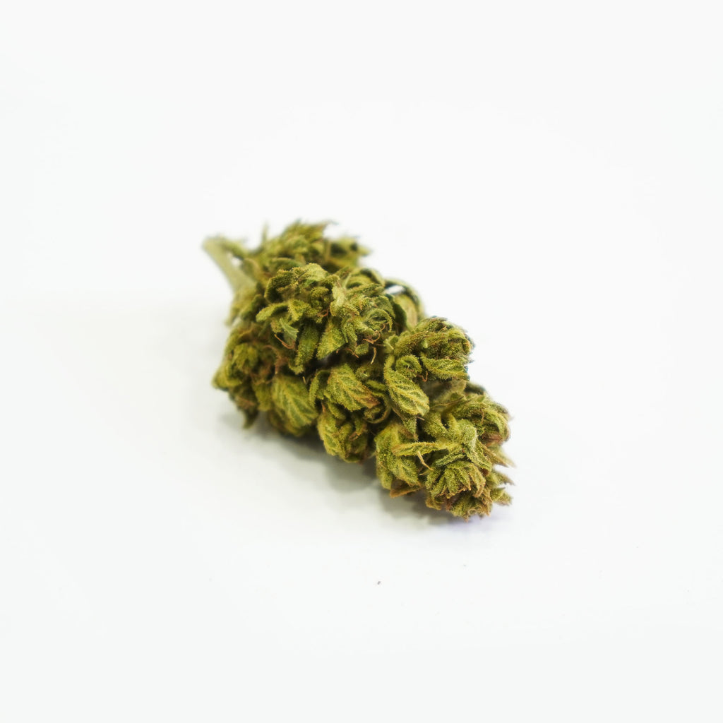 Forest Frost – aroma bora - 5g/10g