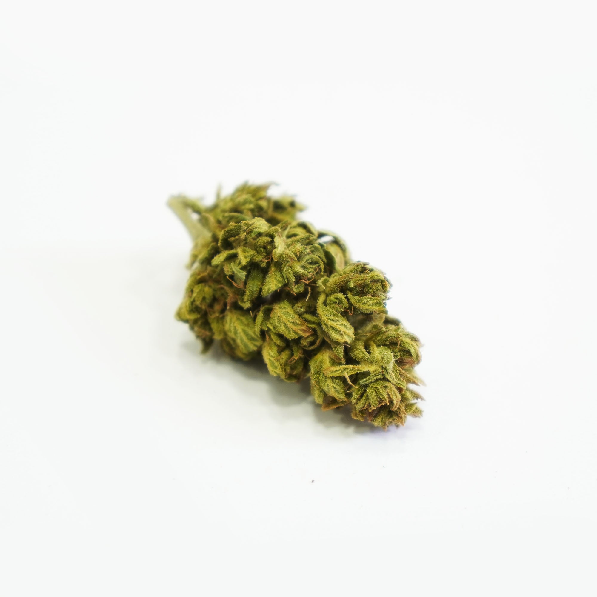 Forest Frost – aroma bora - 5g/10g
